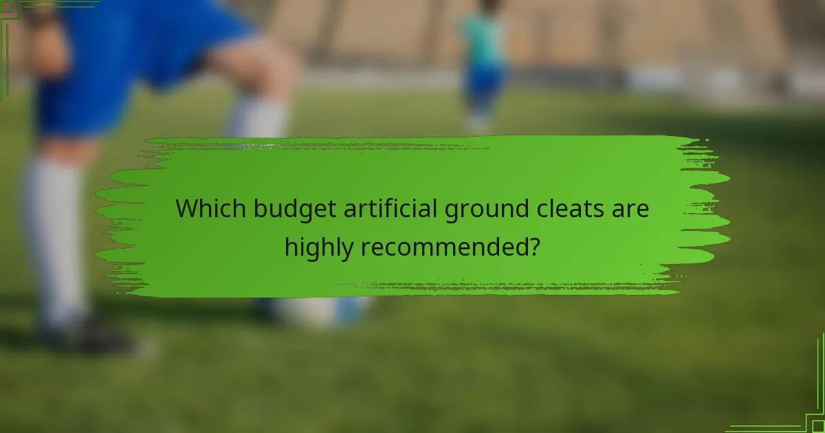 Which budget artificial ground cleats are highly recommended?